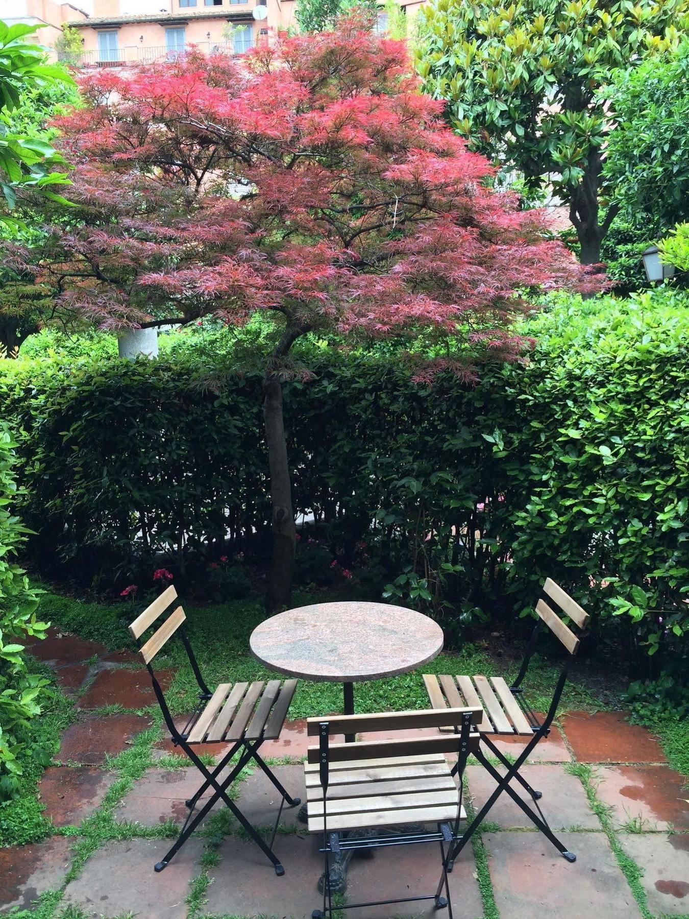 Garden Palatino Apartment